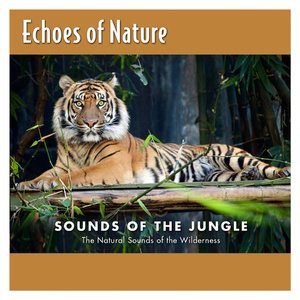 老汉夺走女警花第一次淫秽视播放网站无码
